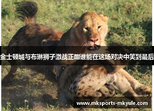 金士顿城与布琳狮子激战正酣谁能在这场对决中笑到最后